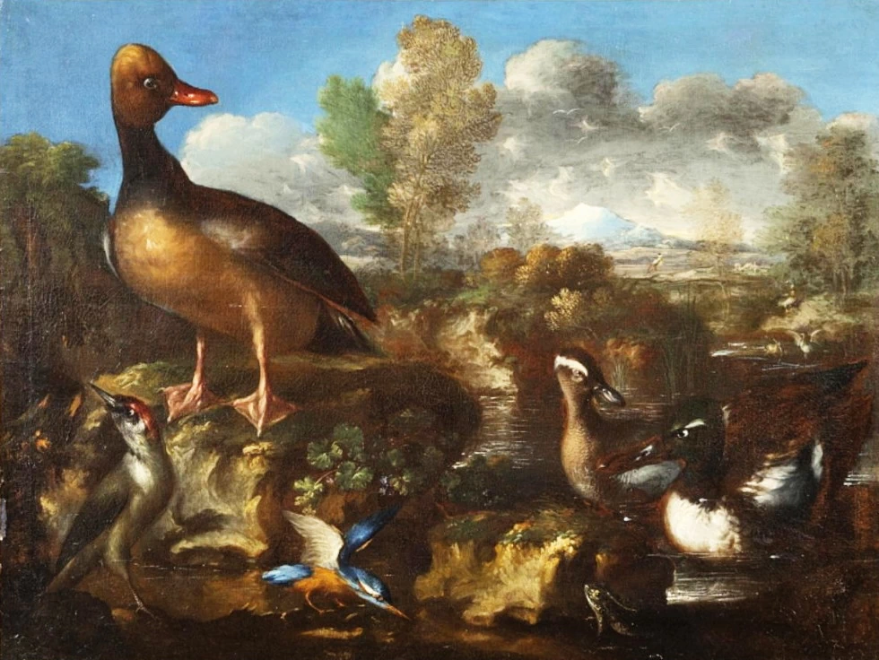 Candido - Uccelli acquatici